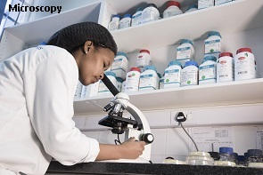 Microbiologist at work Microbiology Laboratory